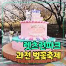 파크 블러썸 | 2025 렛츠런파크 서울 벚꽃축제 후기｜스위트 체리블라썸 + 포토존 + 야경까지!