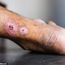 (주)파노스 이미지