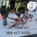 팔도슈퍼낚시 | [26.04.23] 동해 강릉권 피문어 포획작전 / 사화진호. 나 혼자만 크라켄