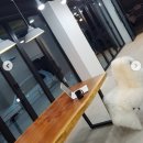 교육대학교기숙사(여자) 네이버블로그