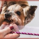 고려카서비스 이미지