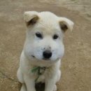 경북대학교 치과병원 이미지