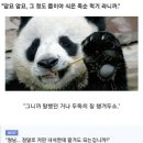 오늘의죽