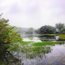 지와이팜 이미지