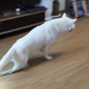 호돌이농장 이미지