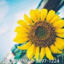 건축물일반청소업 네이버블로그