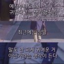 오키나와로 여행을 떠나요 | 남자따라 해외가기