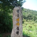 입석농장 Daum카페