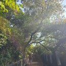 원명파크 이미지