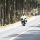 당근민박 이미지