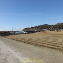 망주보건진료소 티스토리