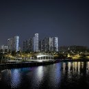 허그포레스트