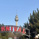 원더랜드 | [대구 이월드 벚꽃] 실시간 개화 현황 + 야경 + 퍼레이드 ‘이월드 인 원더랜드’ 후기🎡🌸