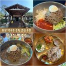 살구실막국수 | 평창 육백마지기 맛집 막국수맛집 살구실 막국수 수육 내돈내산 찐후기