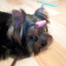 우리집 첫째 이미지