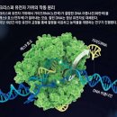 가위로마법처럼 이미지