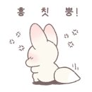 청년포장 이미지