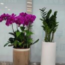 친절한(단지내)자이공인중개사사무소 이미지