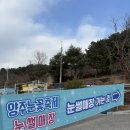 서울근교 경기도 양주 눈꽃축제 눈썰매장 할인 먹거리 웨이팅