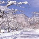 기린07-3 이미지