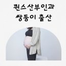 퀸스산부인과의원 | 천안 퀸스산부인과 쌍둥이 제왕절개 출산 후기