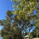 평호여자 이미지