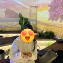 제주안에서 | 동백 구경 제주 족욕체험ㅣ일출랜드