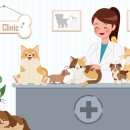 동행동물병원 이미지