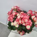 산골스파펜션 이미지