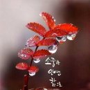 모아보청기