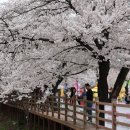 중평단지(임동면) 이미지