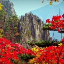 금강산에
