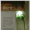 인삼박물관 이미지