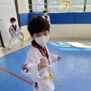 경희대금호태권도장 이미지