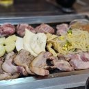 거구돼지 이미지