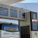 로얄더비파크 이미지