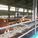 명성농장 이미지