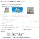 화인덴탈 네이버블로그