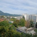 관성빌딩 이미지