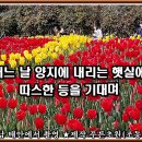김순자