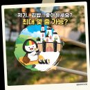 봉달이곱창 | 2025 김밥천국 김천에서 김밥축제 두둥 (라인업정보)