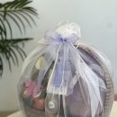 싱싱프루츠 이미지