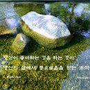 풍요로(동) 이미지