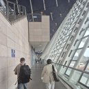 세관길15 | 상하이 쿤밍 국내선 탑승 후기(FM9465 이코노미, 도착지에서 입국심사가 없는 이유)