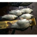 실리곡낚시터 이미지