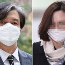 9년 만에 소환된 ‘가재·붕어·개구리’… “조국 부부, 공정성 훼손” 이미지