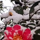 타이어프로밀양가곡점 이미지