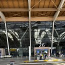 366 | 상하이 푸동공항 인천 아시아나 OZ366 기내식 / 푸동공항 편의점 후기