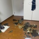 중앙건재 이미지