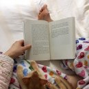 소중하냥 이미지